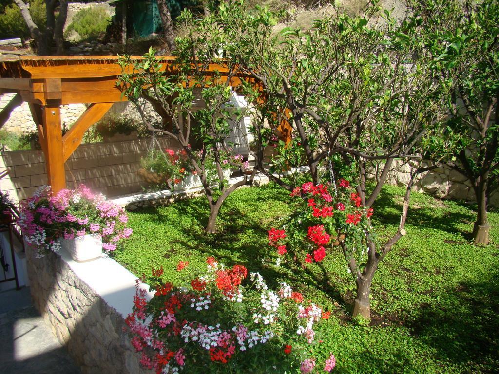 Apartments Villa Sunce دوغي رات المظهر الخارجي الصورة